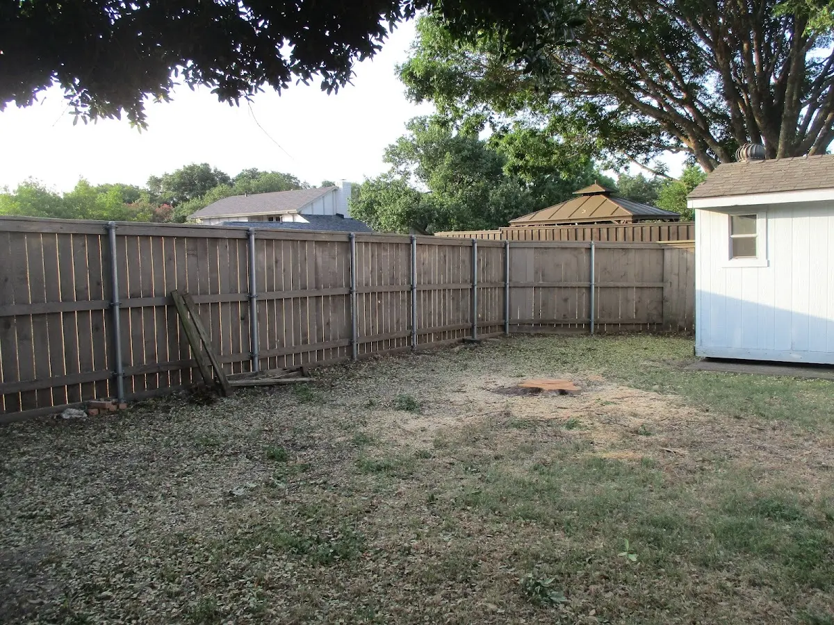 Cleared yard after professional tree removal in West Medford