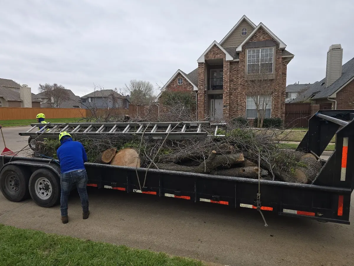 Expert Tree Removal with proper safety equipment in West Medford